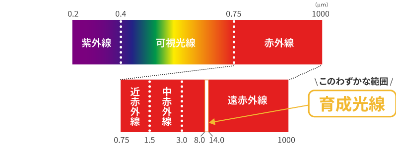 特徴1の図
