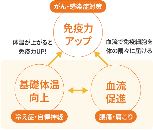 医療機器レベルの「育成光線」で血行・代謝・免疫を後押し