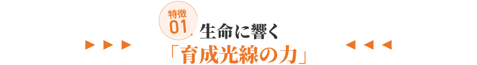 特徴1