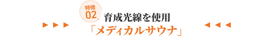 特徴2